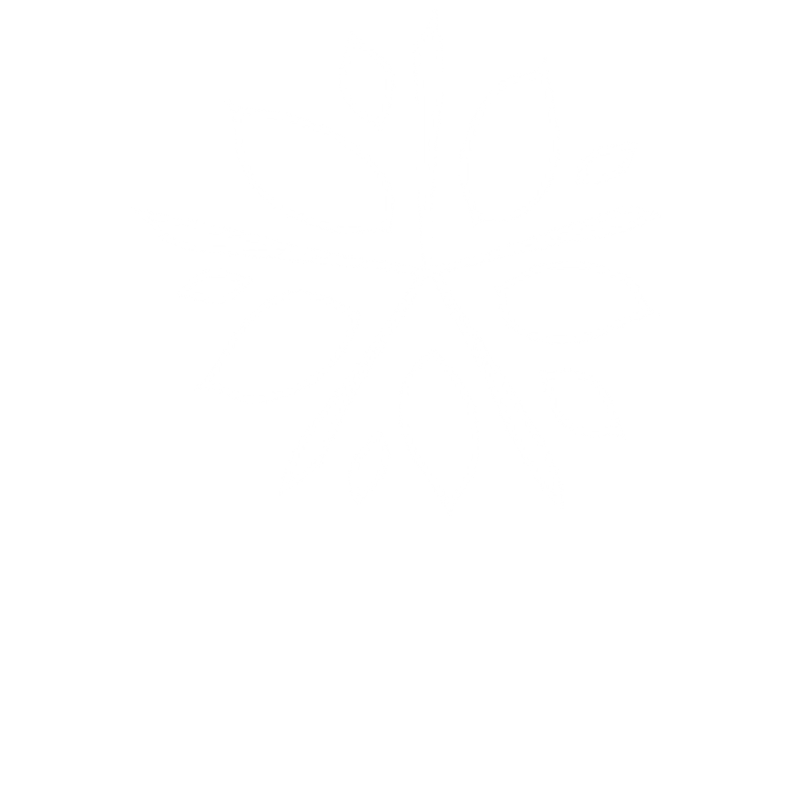 Angsana Logo